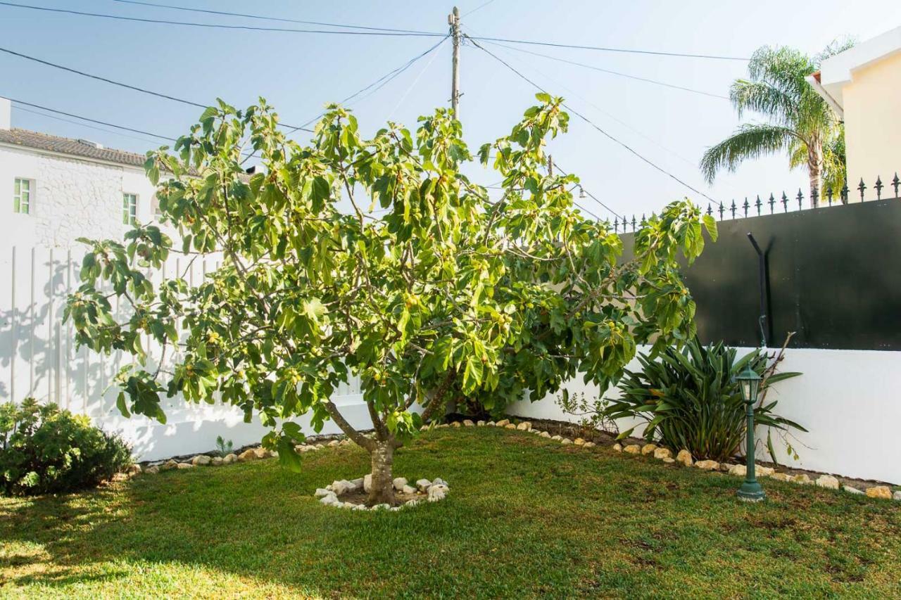 Casa Da Quintinha - Villa With A Pool 세심브라 외부 사진